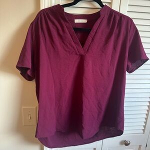 Entro Deep Wine V-Neck Top